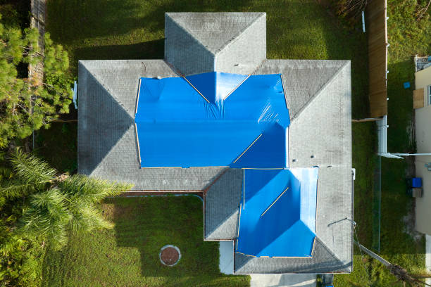 Best Roof Moss and Algae Removal  in Leola, PA